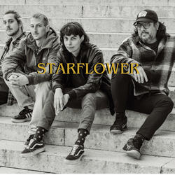 Starflower