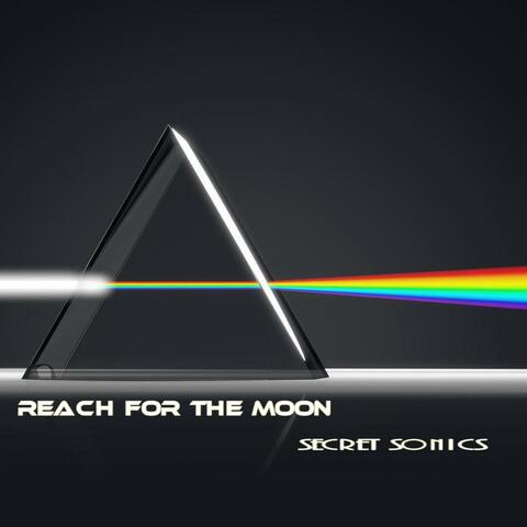 Reach For The Moon