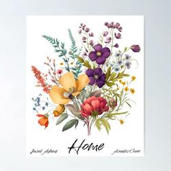 Home (acoustic )