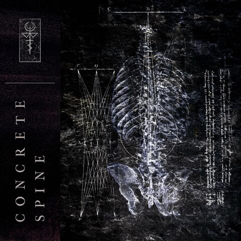 Concrete Spine