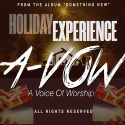 THE HOLIDAY EXPERIENCE