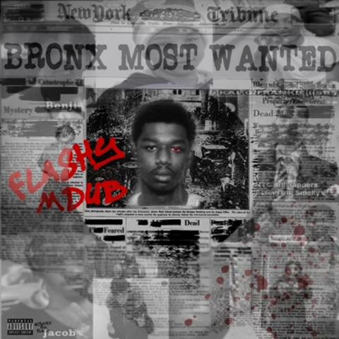 BRONX MOST WANTED