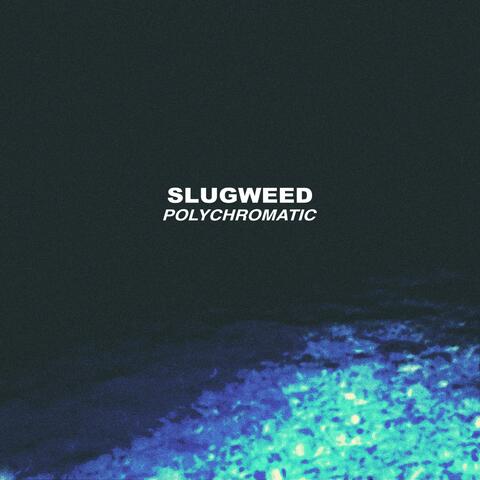 SlugWeed