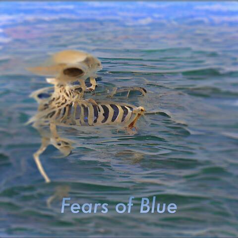 Fears of Blue