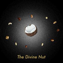 The Divine Nut