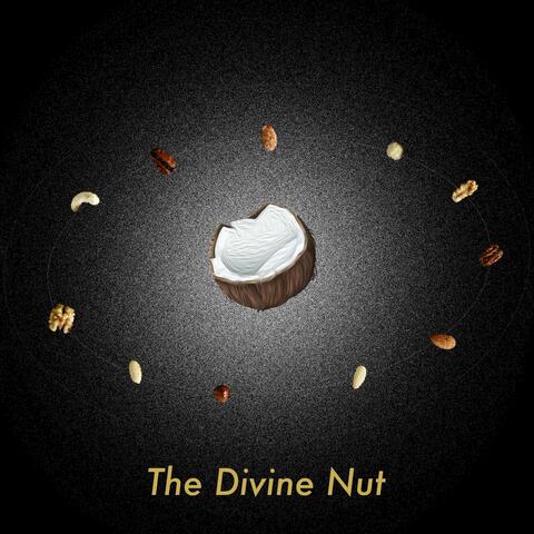 The Divine Nut