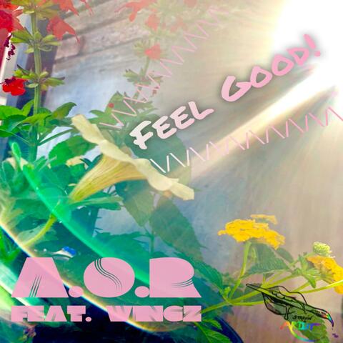 Feel Good (feat. Wingz)