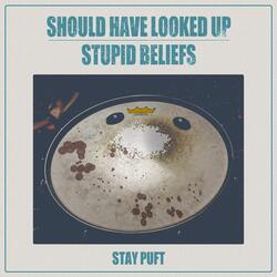 Stupid Beliefs