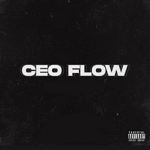 CEO FLOW