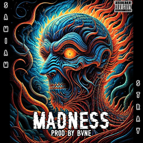 MADNESS (feat. Stray)