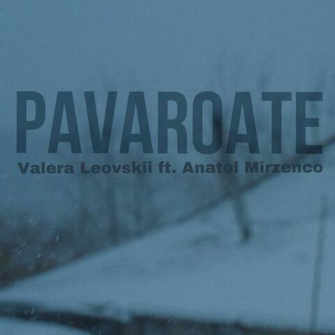 Pavaroate (feat. Anatol Mîrzenco)