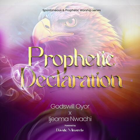 Prophetic declarations 01 (feat. Ijeoma Nwachi)