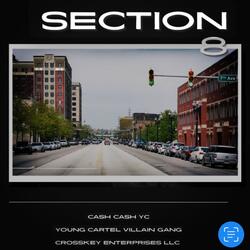 Section 8