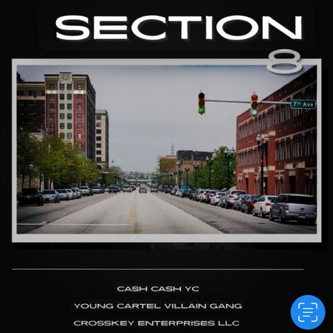 Section 8