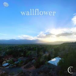Wallflower