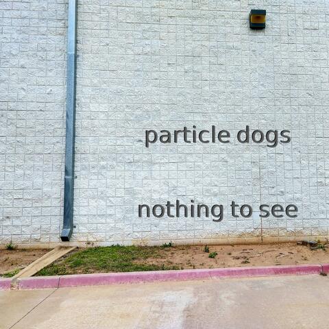 nothing to see