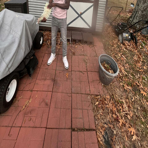 Bacc In the Mix