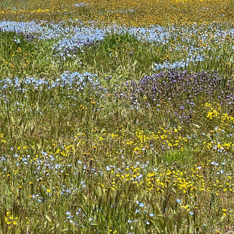 After her breeze blew through