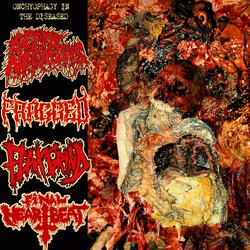 Bareknuckle Mosh Warriors (No Blood No Pit)