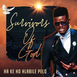 Ha Ke Ho Hlabile Pelo