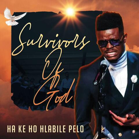Ha Ke Ho Hlabile Pelo