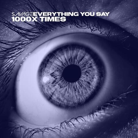 EVERYTHING YOU SAY (1000X TIMES)