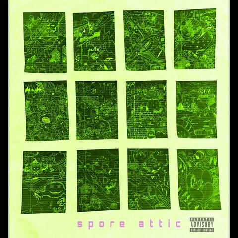 spore attic