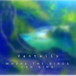 Where the Birds Can Sing