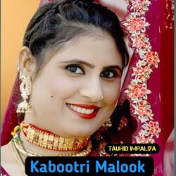 Kabootri Malook