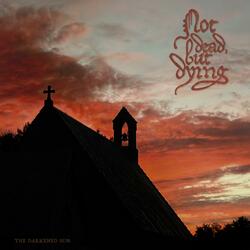 The Darkened Sun