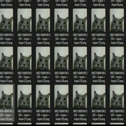 bad old meowsynth bossfight test