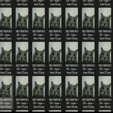 bad old meowsynth bossfight test