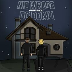Nie wrócę do domu (feat. BLX)
