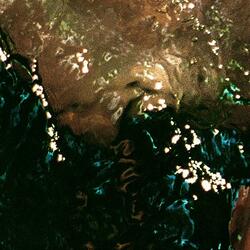 Waiting to Leave Home