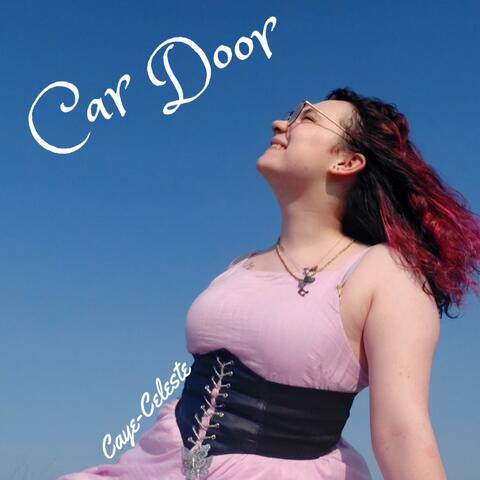 Car Door