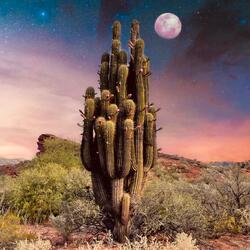 Lagom (Temple Sessions)