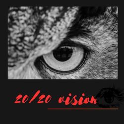 20/20 vision
