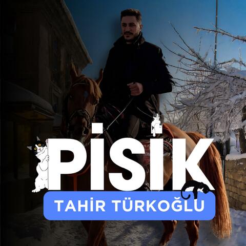 Pisik (Oy Pisiğim)