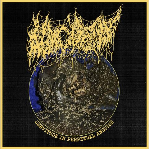 Servitude In Perpetual Anguish
