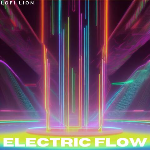 Electric Flow