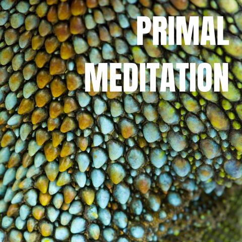 Primal Meditation