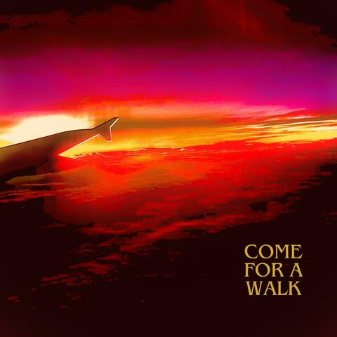 Come For A Walk