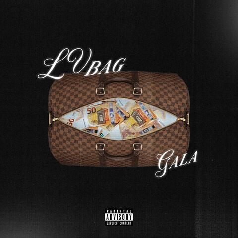 LV Bag