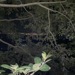 4 a.m.