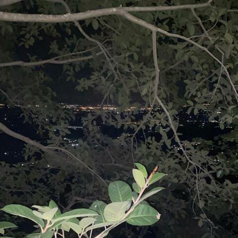 4 a.m.
