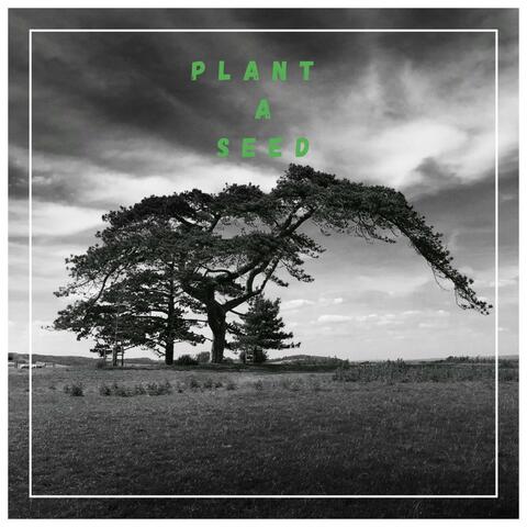 Plant A Seed (feat. The DUKE$)