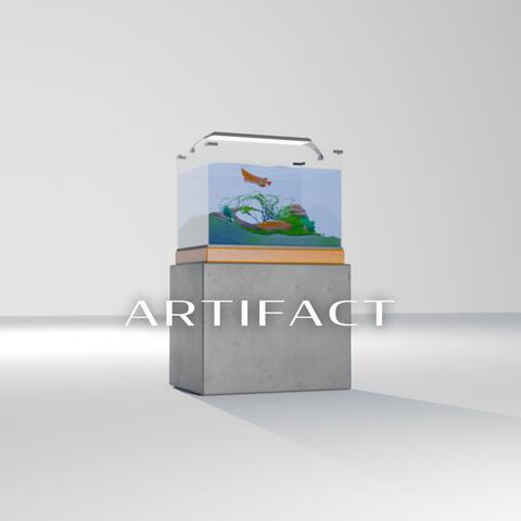 Artifact
