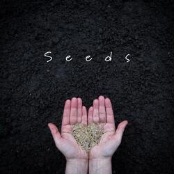 Seeds (feat. Carrie Tree)