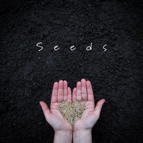 Seeds (feat. Carrie Tree)