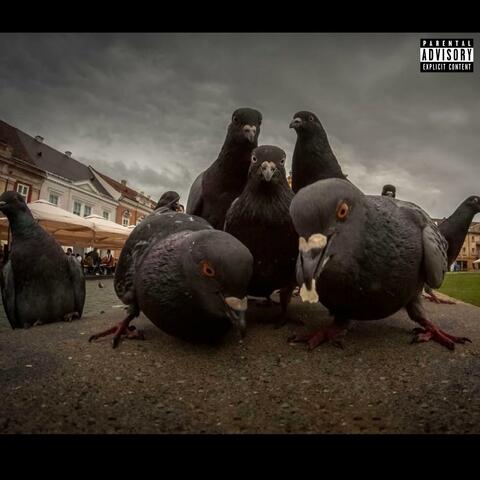DUCKIN SHI